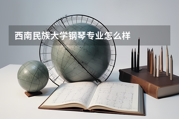 西南民族大学钢琴专业怎么样