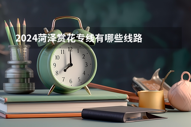 2024菏泽赏花专线有哪些线路