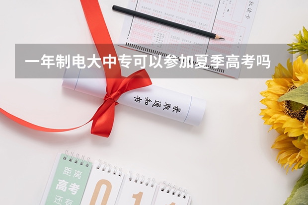 一年制电大中专可以参加夏季高考吗