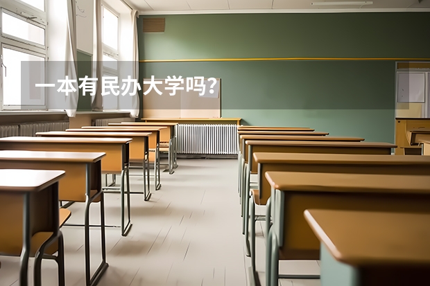 一本有民办大学吗？