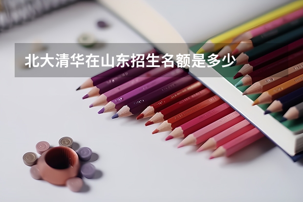 北大清华在山东招生名额是多少