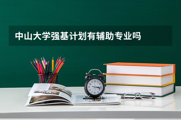 中山大学强基计划有辅助专业吗