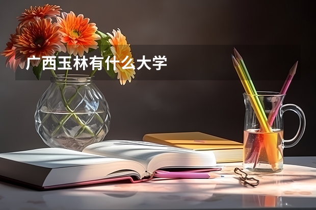 广西玉林有什么大学