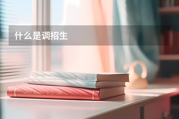 什么是调招生