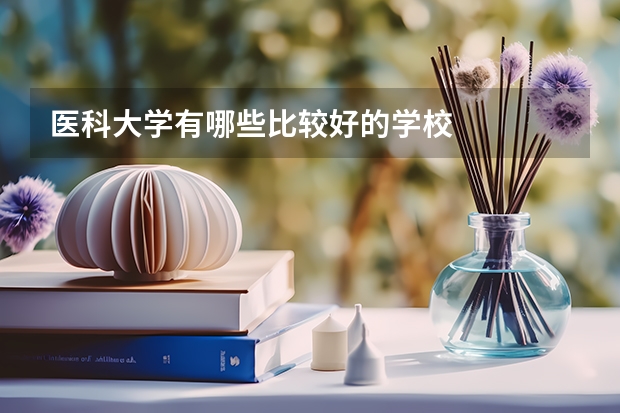 医科大学有哪些比较好的学校