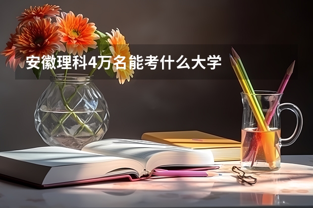 安徽理科4万名能考什么大学