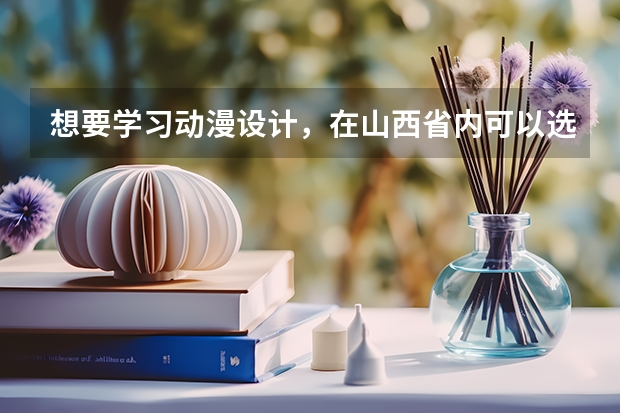 想要学习动漫设计，在山西省内可以选择什么院校？