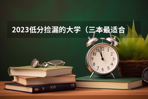 2023低分捡漏的大学（三本最适合捡漏的15所公办大学）