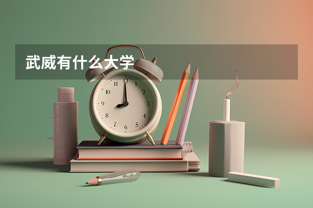 武威有什么大学