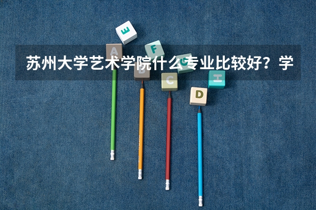 苏州大学艺术学院什么专业比较好？学校大吗？环境设计这个专业怎么样？