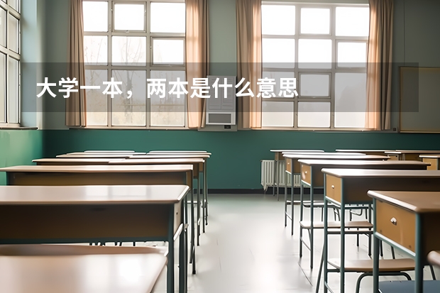 大学一本,两本是什么意思