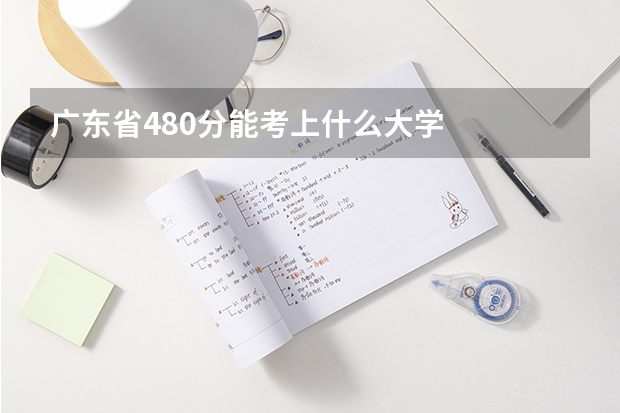 广东省480分能考上什么大学