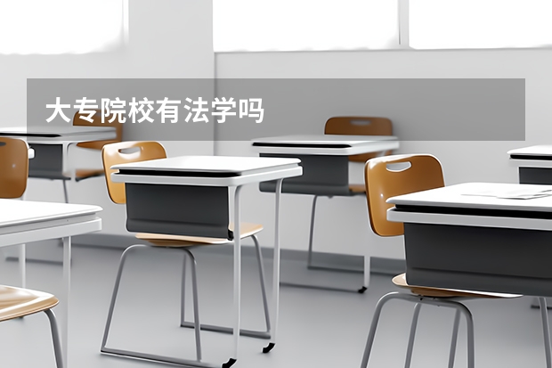 大专院校有法学吗