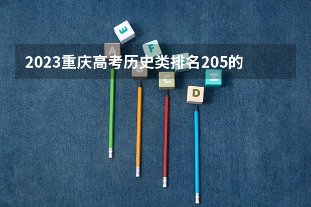 2023重庆高考历史类排名205的考生报什么大学 大学往年录取分数线
