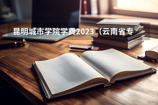 昆明城市学院学费2023（云南省专科学校排名）