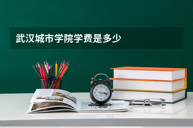 武汉城市学院学费是多少