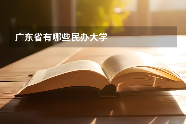 广东省有哪些民办大学