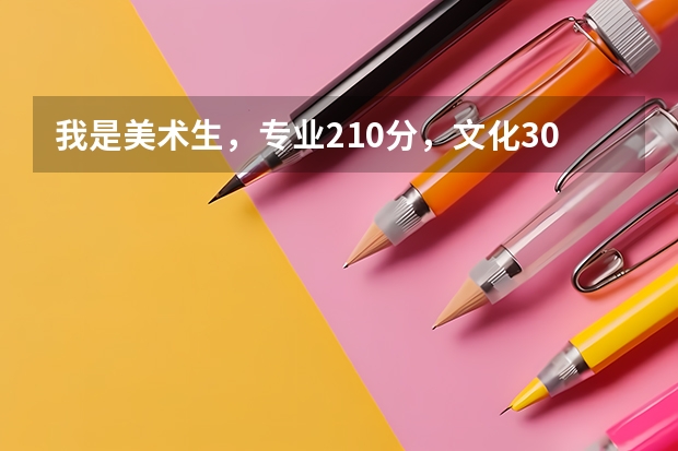 我是美术生,专业210分,文化300左右,能上的本科吗?