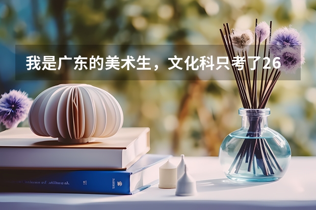 我是广东的美术生,文化科只考了261分,联考差三分没过。请问广东有什么较好的学校我可以进的?