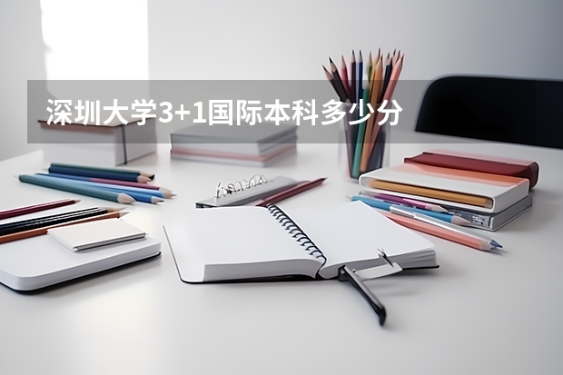 深圳大学3+1国际本科多少分