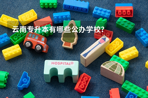 云南专升本有哪些公办学校？