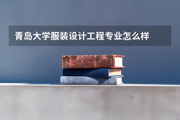 青岛大学服装设计工程专业怎么样