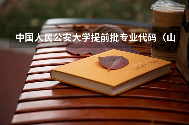 中国人民公安大学提前批专业代码(山东大学提前批代码)