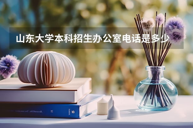 山东大学本科招生办公室电话是多少