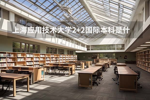 上海应用技术大学2+2国际本科是什么性质的？