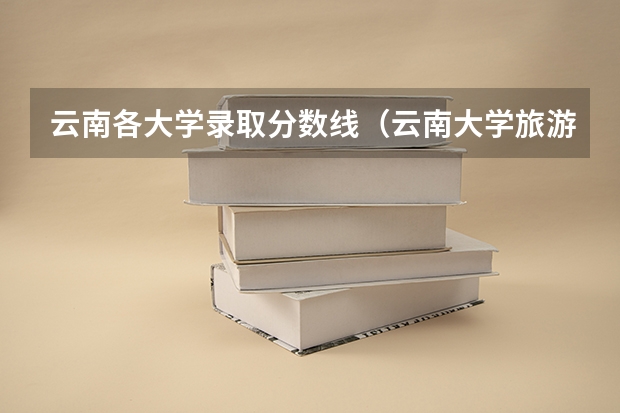 云南各大学录取分数线（云南大学旅游文化学院分数线）