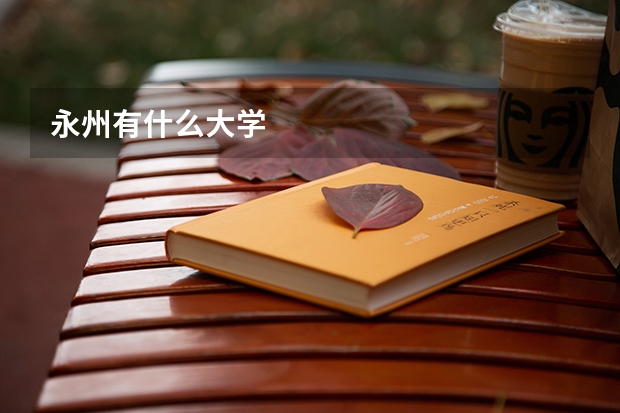 永州有什么大学