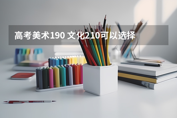 高考美术190 文化210可以选择什么学校好啊？江苏省内的