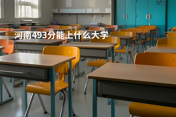 河南493分能上什么大学