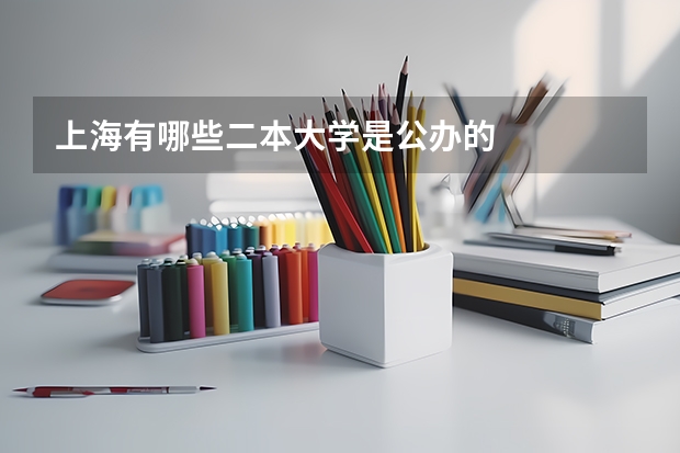 上海有哪些二本大学是公办的