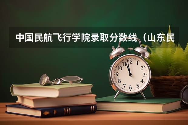 中国民航飞行学院录取分数线（山东民航大学录取分数线）