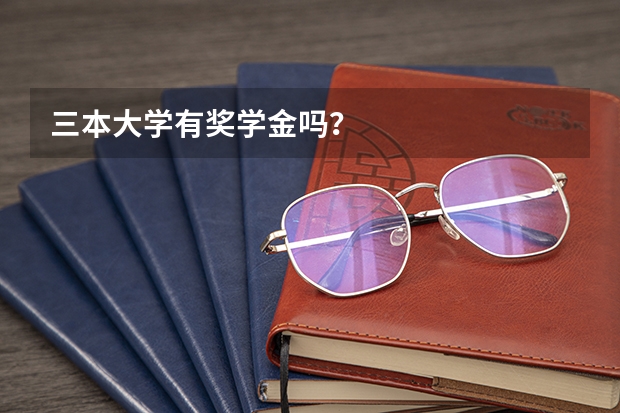 三本大学有奖学金吗？