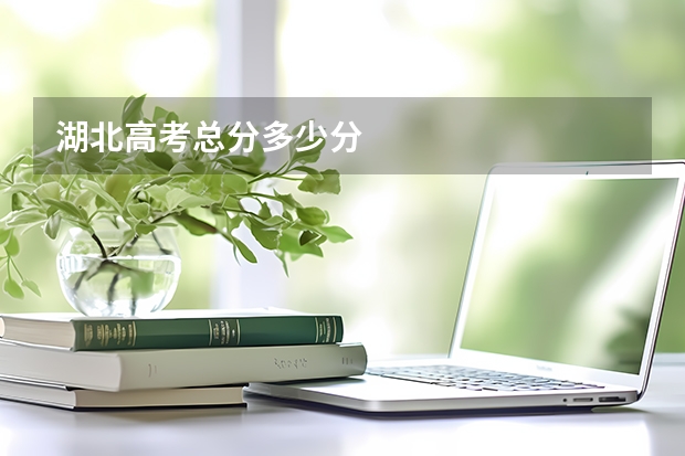 湖北高考总分多少分