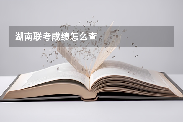 湖南联考成绩怎么查
