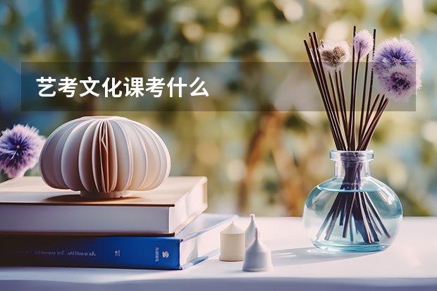 艺考文化课考什么