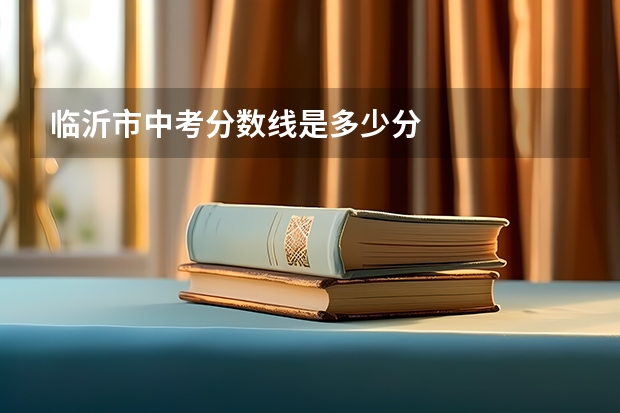 临沂市中考分数线是多少分