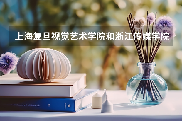 上海复旦视觉艺术学院和浙江传媒学院哪个好些