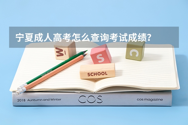 宁夏成人高考怎么查询考试成绩？