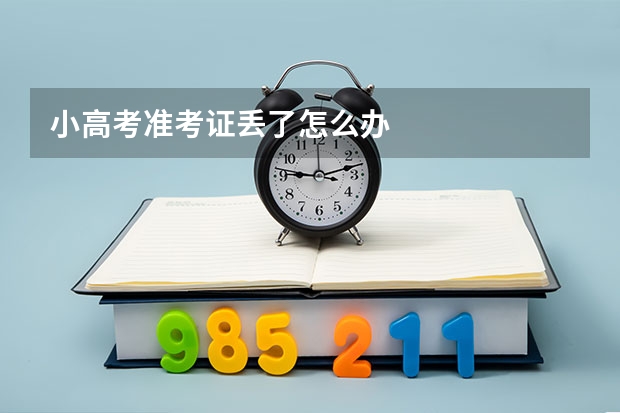 小高考准考证丢了怎么办