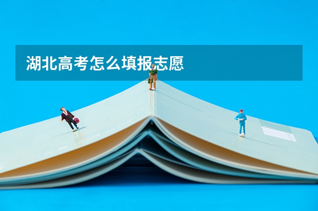 湖北高考怎么填报志愿