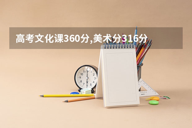 高考文化课360分,美术分316分能上河南财经政法大学吗?