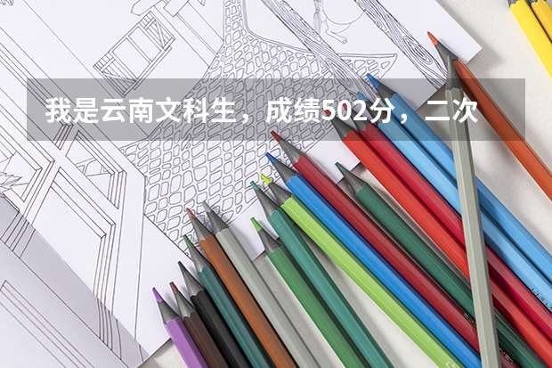 我是云南文科生,成绩502分,二次征集我报了云南民族大学(二本)小语种,民族生,有希望吗?