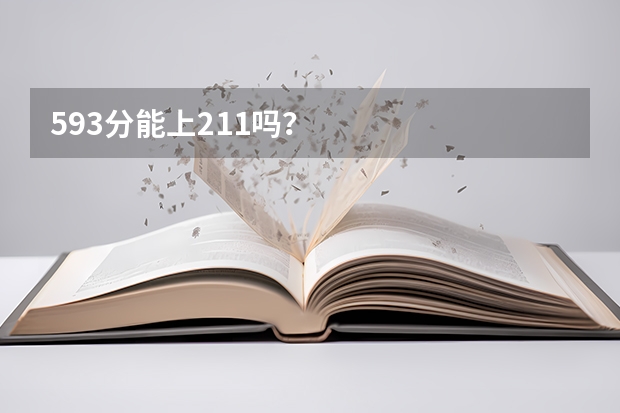 593分能上211吗？