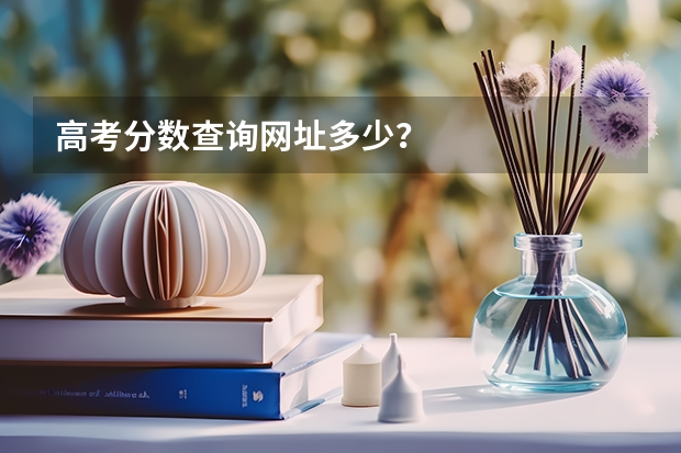 高考分数查询网址多少?