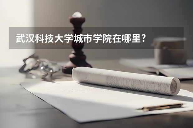 武汉科技大学城市学院在哪里?