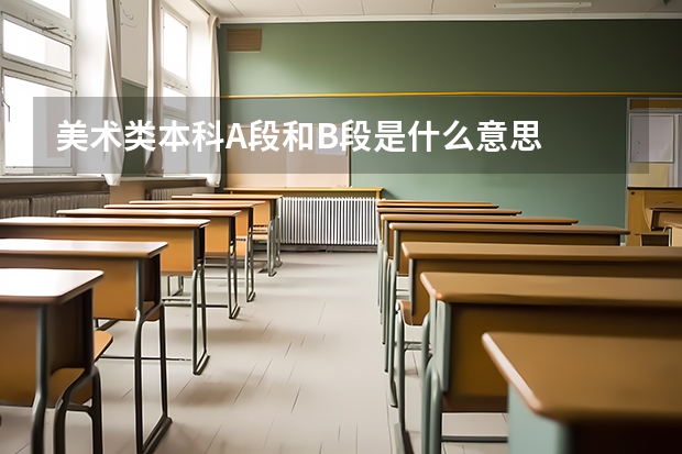 美术类本科A段和B段是什么意思
